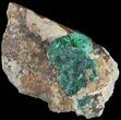 Fibrous Malachite Crystals on Matrix - Morocco #49455-1
